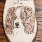 Cavalier King Charles Spaniel Cavalier King Charles Spaniel