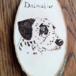 Dalmatier Dalmatier