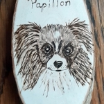 Musing Papillon Musing Papillon