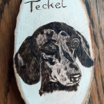 Teckel Teckel