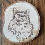 Poes Poes