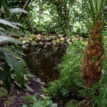 orchideehoeve orchideehoeve