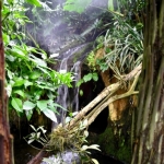 orchideehoeve orchideehoeve