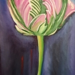 Tulp bloem Tulp bloem