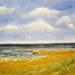 De Nederlandse kust De Nederlandse kust