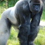 Blijdorp Blijdorp