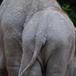 Blijdorp Blijdorp