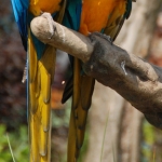 Blijdorp Blijdorp