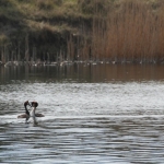 Amsterdamse Waterleidingduinen Amsterdamse Waterleidingduinen