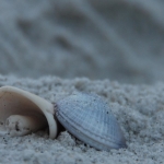 Naples, FL Naples, FL