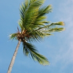 Punta Cana, Dom.Rep. Punta Cana, Dom.Rep.