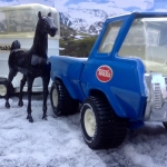 Sneeuw en paarden Sneeuw en paarden