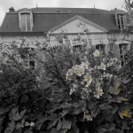 Entree botanische tuin Amiens Entree botanische tuin Amiens