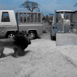 Op safari Op safari