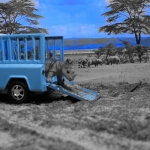 Speelgoed uit Afrika! Speelgoed uit Afrika!
