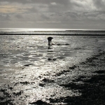 De Waddenzee De Waddenzee