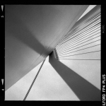 Erasmusbrug 7 Erasmusbrug 7