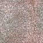 AO-OO-NR.009 (36X24 CM) AO-OO-NR.009 (36X24 CM)