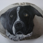Hond Nelson Hond Nelson