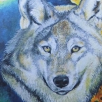 Shewolf Shewolf