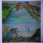IJsvogel IJsvogel