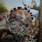 Amur Luipaard Amur Luipaard