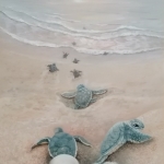 Schildpad, het nest verlaten Schildpad, het nest verlaten