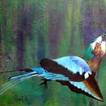 European roller European roller