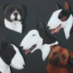 Bull terrier Bull terrier