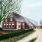Nijeveense Bovenboer Nijeveense Bovenboer