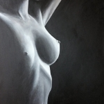 Body shape Body shape