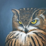 Meneer de uil Meneer de uil