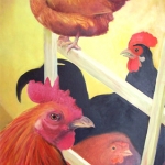 kip op stok kip op stok