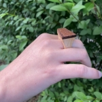 Fusion Ring van Hout Fusion Ring van Hout