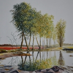 Weggetje naar de Wit Weggetje naar de Wit