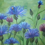 Veld met korenbloemen Veld met korenbloemen