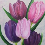 Tulpen Tulpen