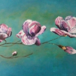 Bloeiende magnolia tak Bloeiende magnolia tak