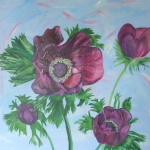 Anemonen Anemonen