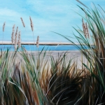 Amelandsduin Amelandsduin