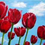 Red tulips in the blue sky Red tulips in the blue sky