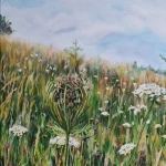 Queen Anne's Lace Queen Anne's Lace