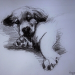 Puppy Puppy