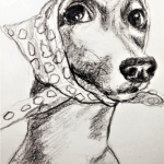 Huisvrouw hond Huisvrouw hond