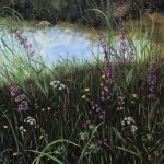 wilde bloemen wilde bloemen