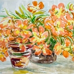 Geel-oranje tulpen in potten Geel-oranje tulpen in potten