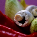 Macro Macro