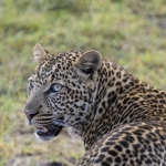Kenia en Tanzania Kenia en Tanzania