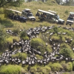Kenia en Tanzania Kenia en Tanzania