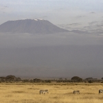Kenia en Tanzania Kenia en Tanzania